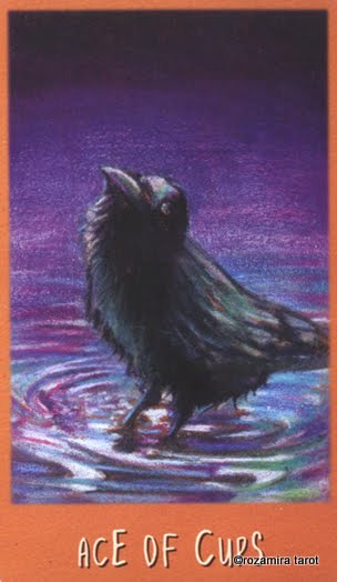 The Raven's Prophecy Tarot